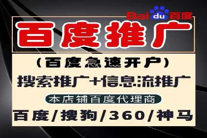 案例分享：SEM投放助力企业品牌知名度